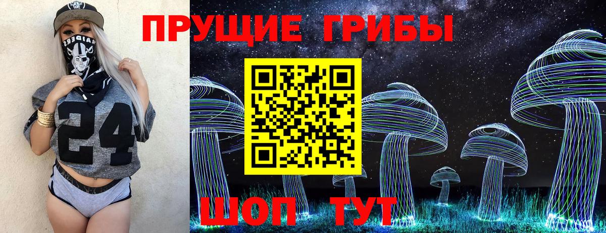 Псилоцибиновые грибы Cubensis  что такое   Мирный  Вход с VPN 