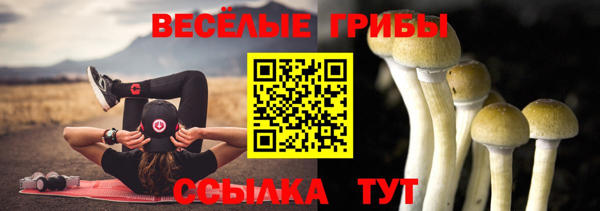 Псилоцибиновые грибы Magic Shrooms Мирный